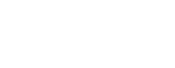 www.boardsandmore.com logo